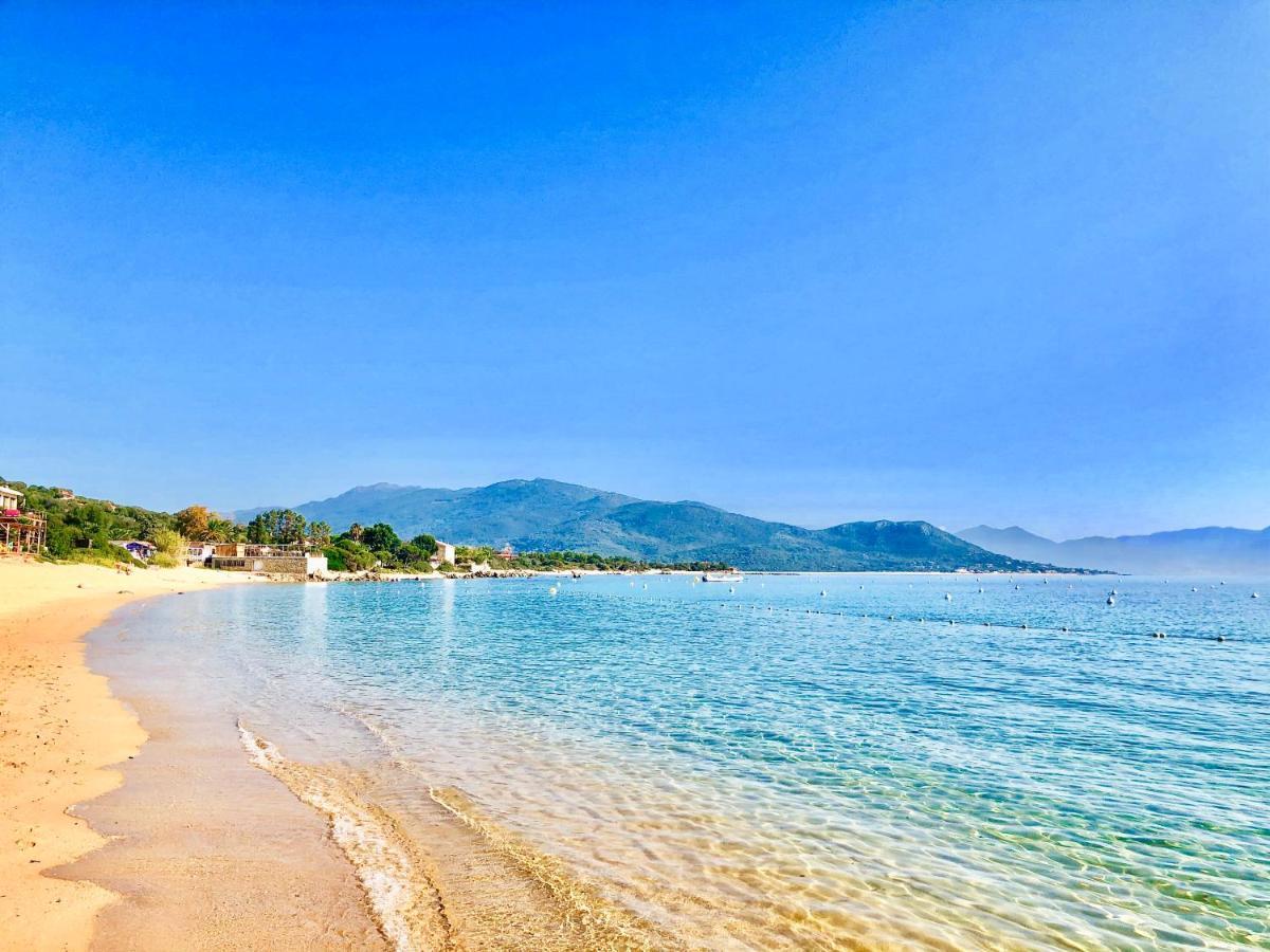 Les Villas Marincelu Porto Pollo Exteriör bild