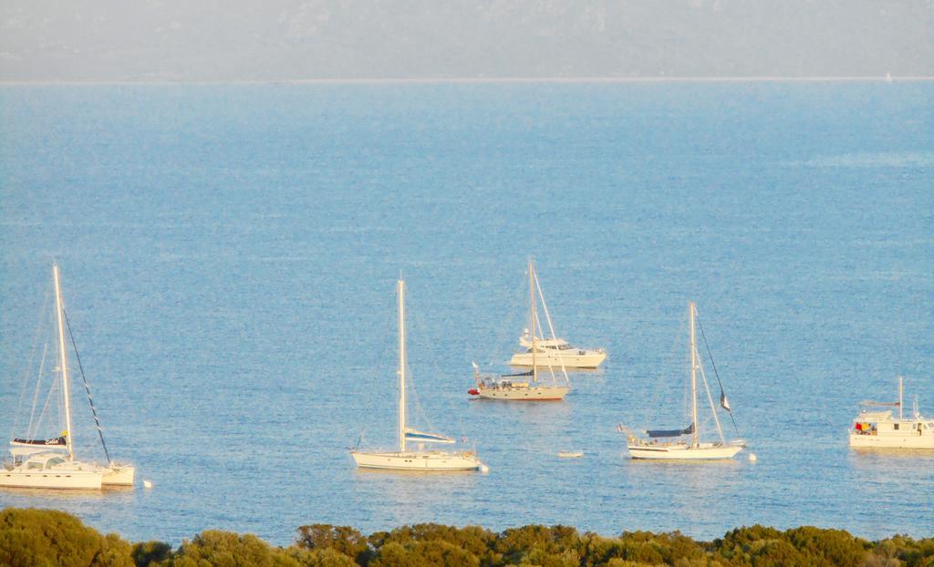 Les Villas Marincelu Porto Pollo Exteriör bild
